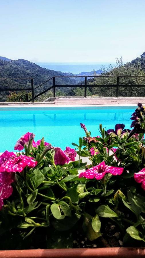 Agriturismo Osteria Du Barba Pe' - Casa Miranda Seborga Ngoại thất bức ảnh